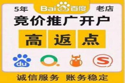 揭秘百度竞价代理：实战案例分析